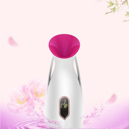 Household nano spray face steamer, compact handheld facial mist device in white