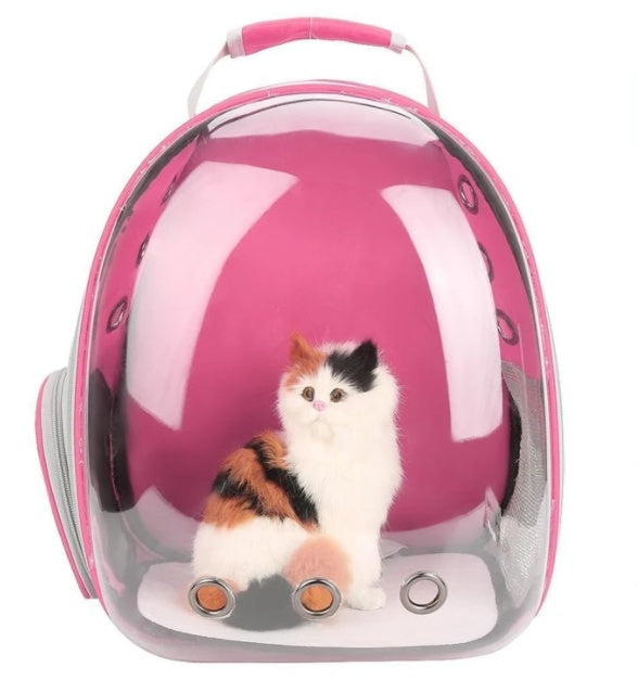Transparent cat backpack carrier with spacious pet compartment and breathable design