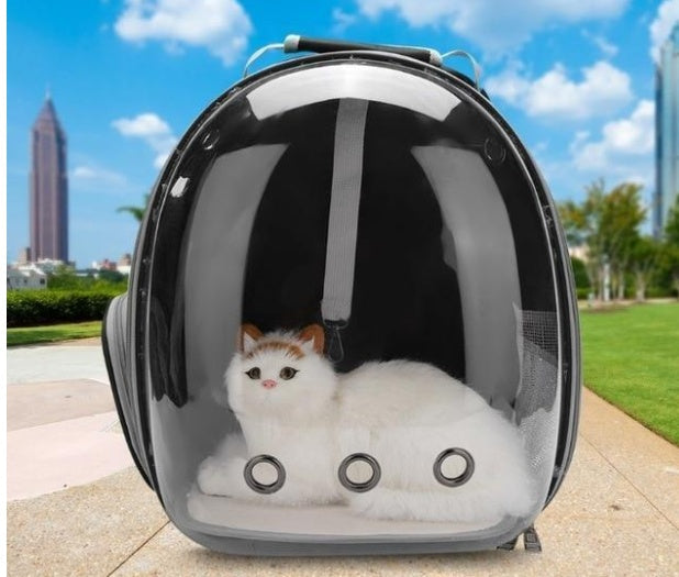 Transparent Cat Bag Pet Space Bag for carrying cats securely outdoors