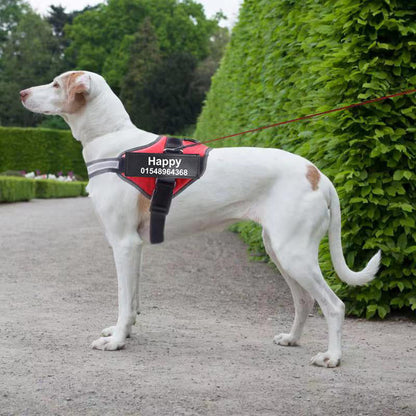 Personalized dog harness with custom dog name, adjustable straps, and reflective trim
