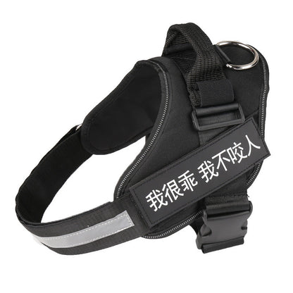 Personalized dog harness with custom dog name tag, adjustable straps, and durable design