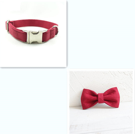 Pet traction dog collar shown in close-up, adjustable design for secure walking and control