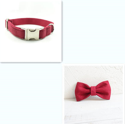 Pet traction dog collar shown in close-up, adjustable design for secure walking and control