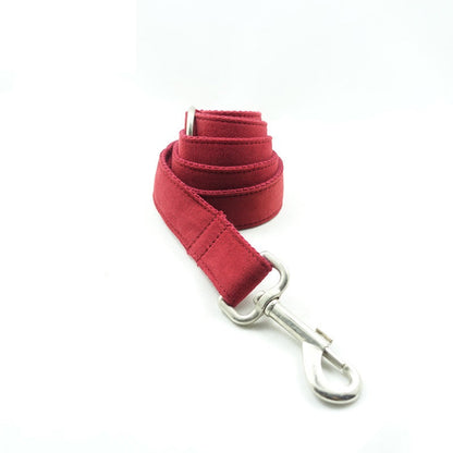 Pet Traction Collar dog collar by My Store, adjustable design for secure everyday walks