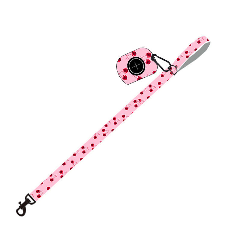 Dog leash set by My Store with durable pet leash for everyday walks