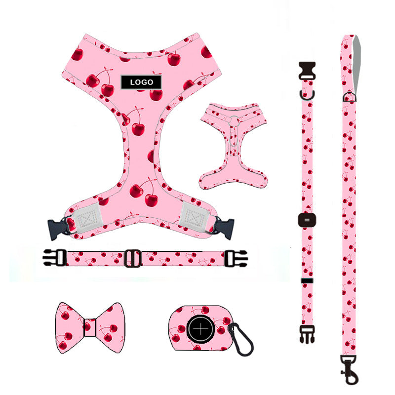 Dog leash set with durable pet leash for walking, shown in black and red.
