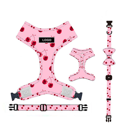 Dog leash set with pet leash in durable nylon, featuring a comfortable handle and secure clip