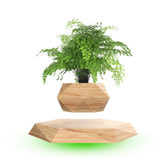 Magnetic floating bonsai plant rack with levitating potted plant, creative Christmas or birthday gift alcove