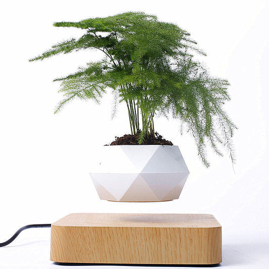 Magnetic floating bonsai plant rack with levitating pot, creative decorative gift design