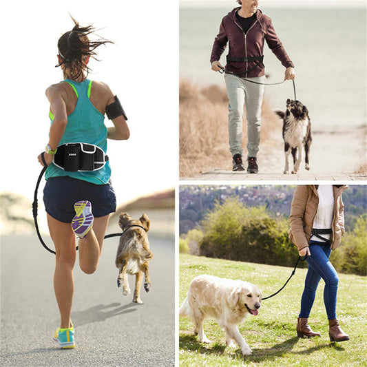 Hands-free dog training leash waist bag with storage pockets for outdoor running and walking