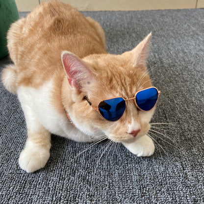 Creative fashion mini pet cat sunglasses in a playful cat-eye design