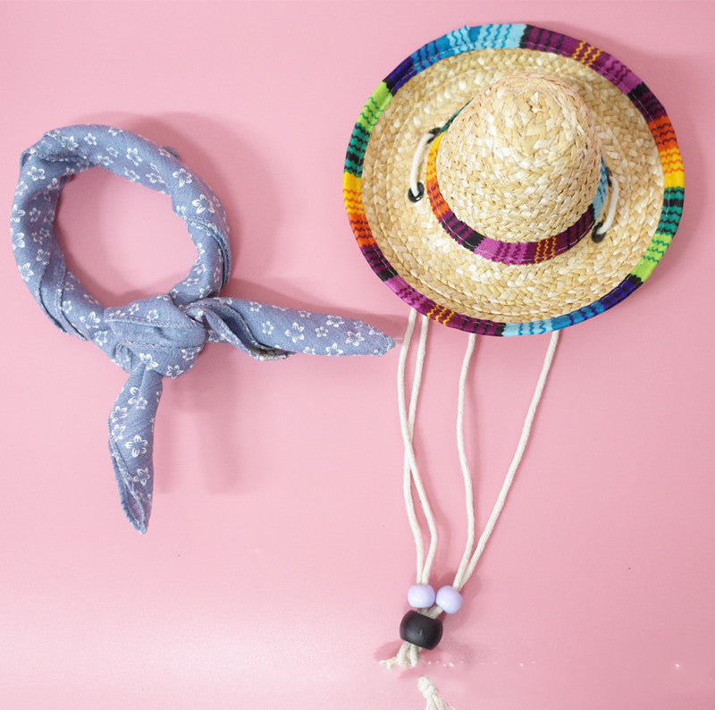 Pet accessories summer outing set for dogs, featuring a colorful collar, leash, and matching outdoor essentials