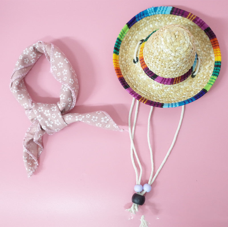 Pet accessories summer outing set with stylish essentials for outdoor use