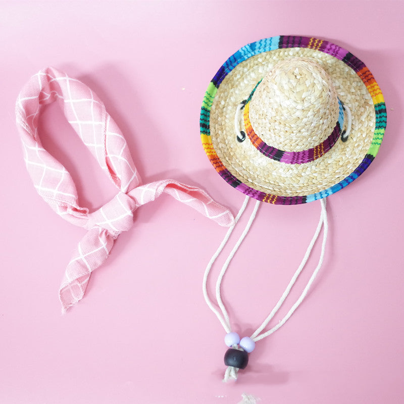 Pet Accessories Summer Outing Set with lightweight outdoor essentials for pets