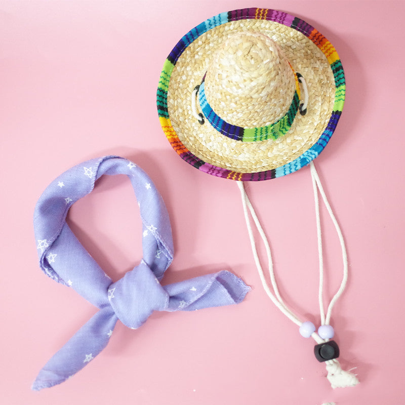 Pet accessories summer outing set with leash, collar, and travel essentials displayed together