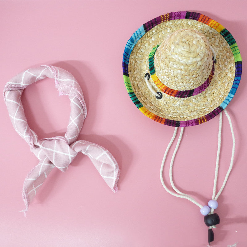 Pet accessories summer outing set with leash, collar, and portable water bowl for outdoor use