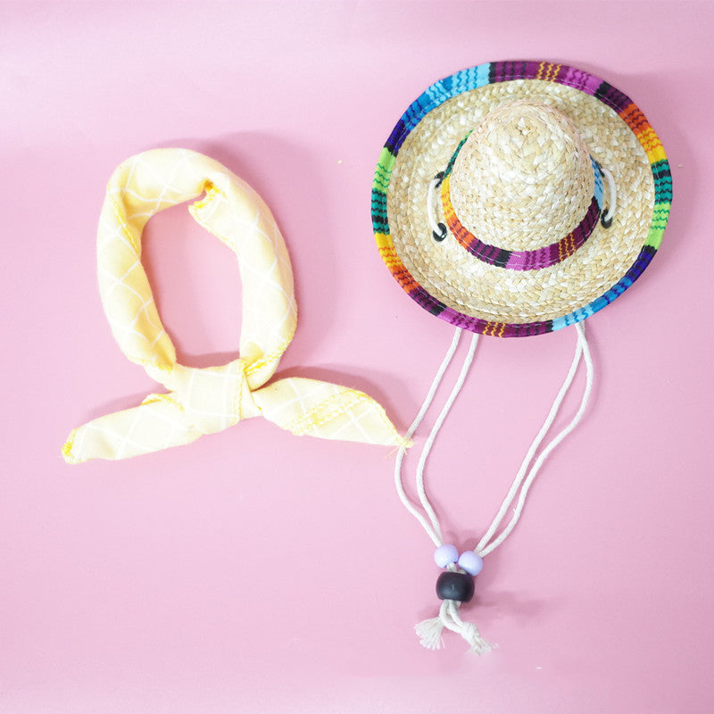 Pet accessories summer outing set with colorful items for outdoor pet activities