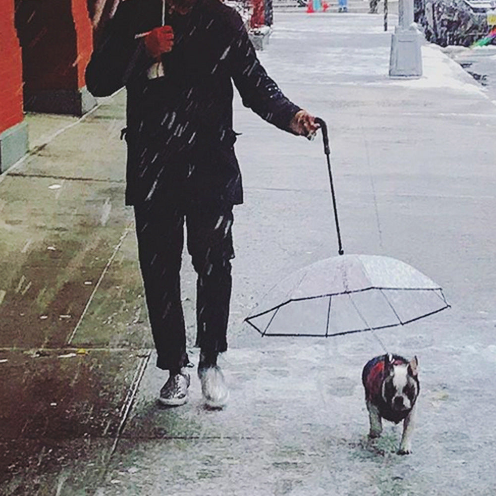 Transparent dog umbrella with removable traction chain for pet protection in rainy weather