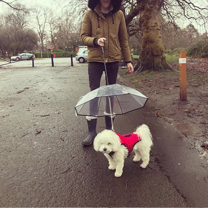 Transparent dog umbrella with removable traction chain for pet walks
