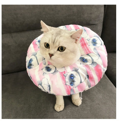 Waterproof pet sterilization headgear for bite, lick, and scratch protection