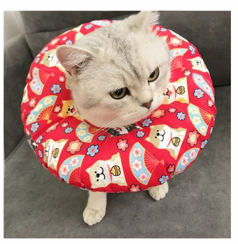Waterproof pet sterilization headgear protects against biting, licking, and scratching