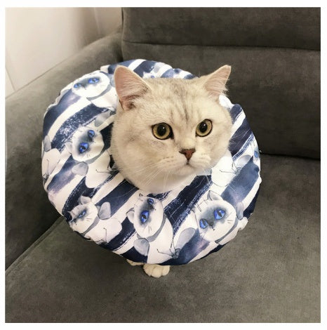 Waterproof pet sterilization headgear for bite, lick, and scratch protection