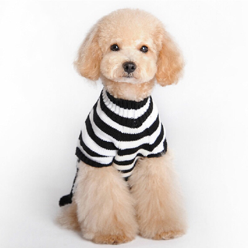 Skull dog Halloween sweater with spooky skull pattern for pets