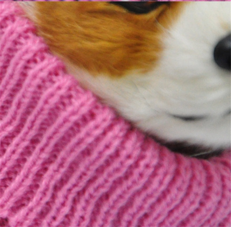 Pet clothing dog sweater in a cozy design for small dogs, shown from the front