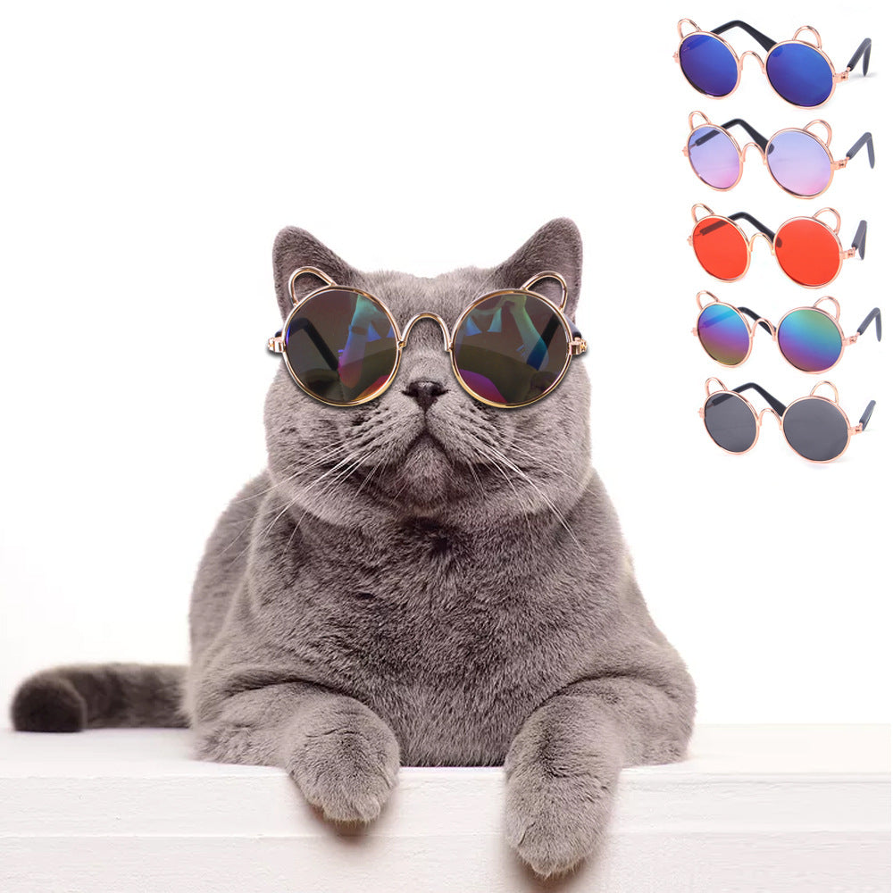 Cat and dog sunglasses with cute round frames and playful design