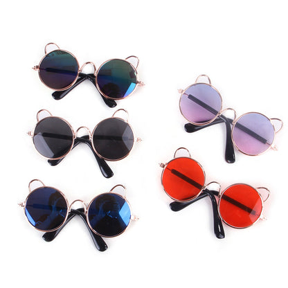 Cute cat sunglasses and dog teddy sunglasses, novelty pet eyewear in playful animal designs