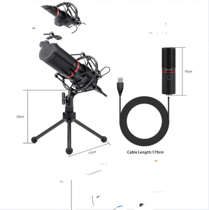 Noise reduction game anchor recording microphone for dedicated live singing bar setups