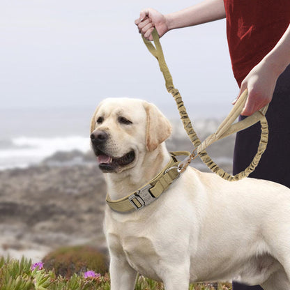 Nylon dog collar for large and medium-sized dogs, adjustable pet collar in durable woven fabric