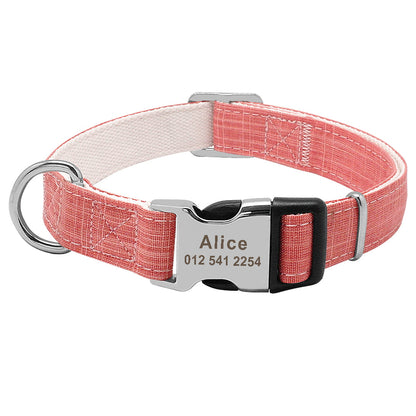Custom dog tag on a dog collar, personalized pet accessory close-up