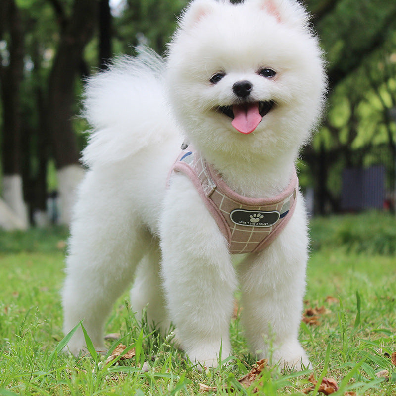 Breathable mesh small dog harness and leash in a lightweight, comfortable design