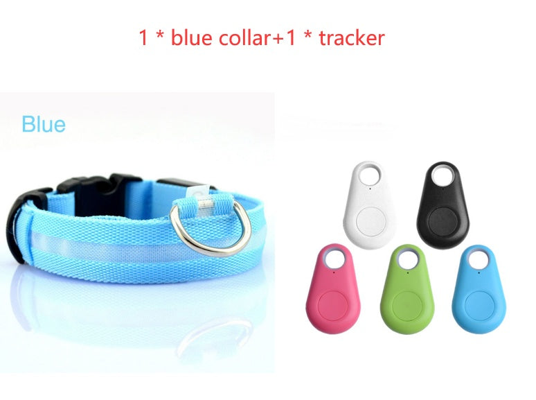 Safety Dog LED Collar glowing light-up pet collar in a dark setting