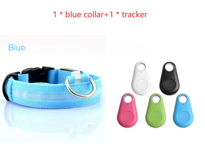 Safety Dog LED Collar glowing light-up pet collar in a dark setting