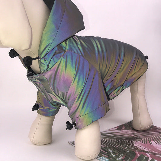 Dog wearing a fashion pet hoodie coat windbreaker with reflective clothing details