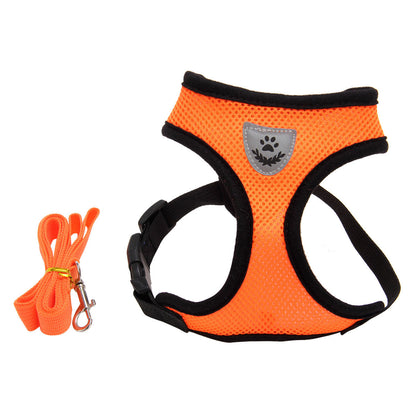 Multi-color high-end dog harness with fashionable design by My Store