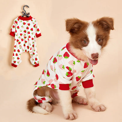 Dog cotton four-legged knit clothes in a cozy knitted design, shown on a pet mannequin