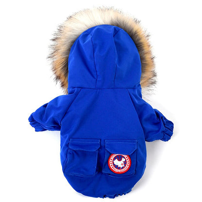 Pet dog wool hat and cotton clothes set for small dogs