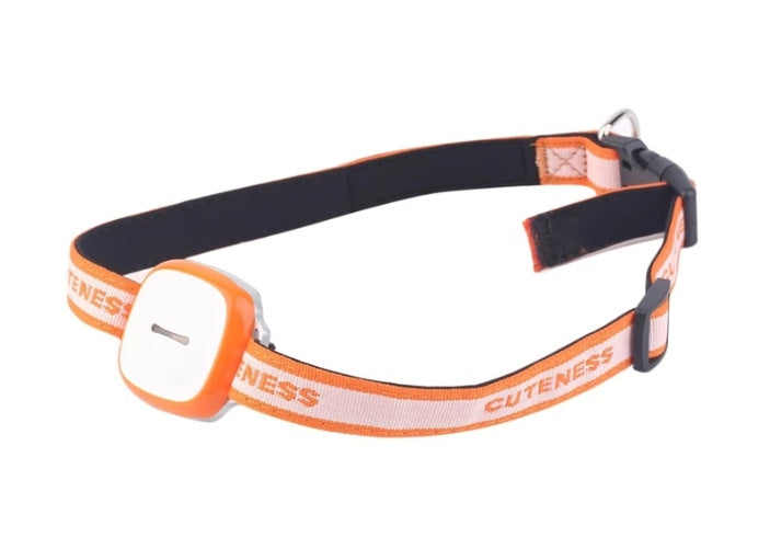 Collared cat and dog tracker pet locator shown on a pet collar