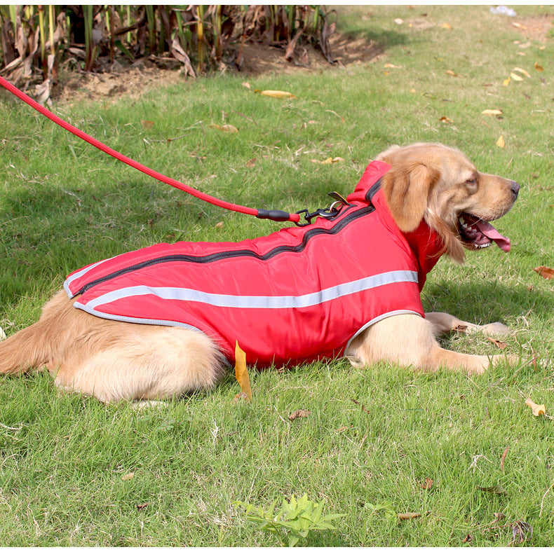 Medium and large dog winter coat, warm padded dog clothing in a comfortable fit