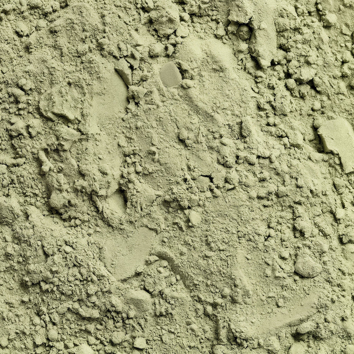 Exuvital Greens Superfood package with vibrant green powder, labeled as Greens & Superfoods, showing branding and product details.