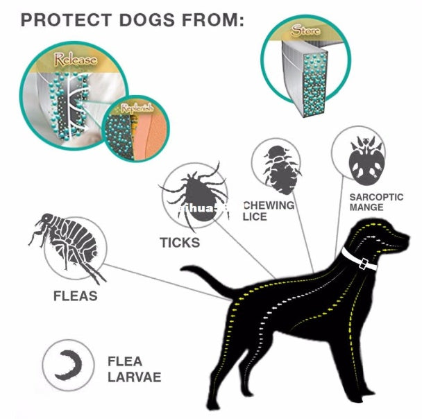 Premium flea and tick collar by My Store in close-up product view