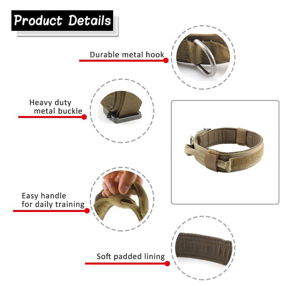 My Store dog collar shown in close-up detail