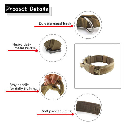 My Store dog collar shown in close-up detail
