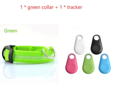 Safety Dog LED Collar glowing in the dark for improved pet visibility
