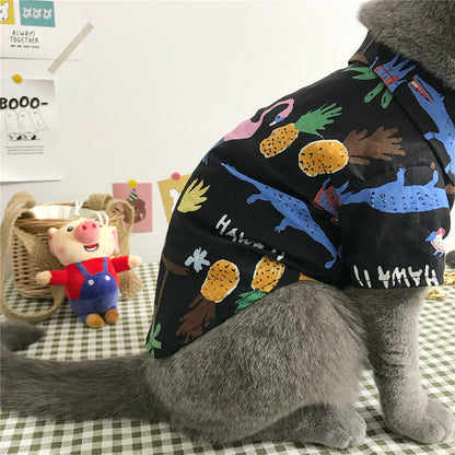 Cat clothes by My Store displayed on a product background