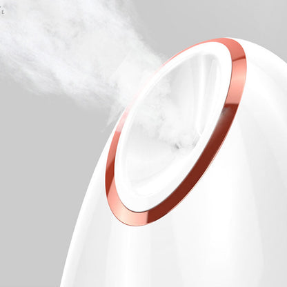 Nano thermal spray moisturizing face steamer with compact white design and water mist nozzle