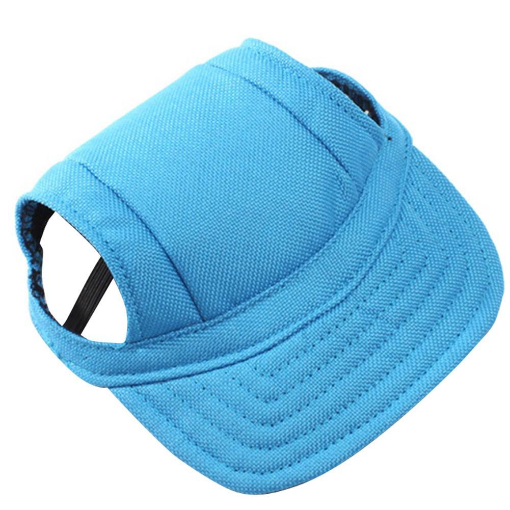 Teddy VIP Bichon pet baseball hat hair accessory in out style, shown on a dog